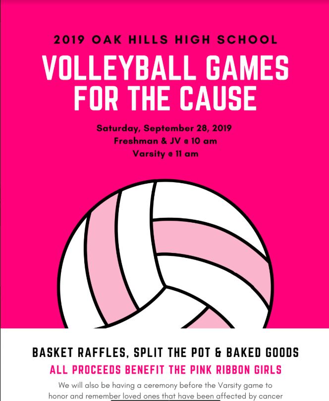 VB Pink Games